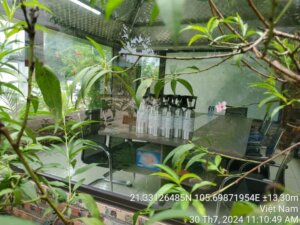 Bình khí hiệu chuẩn 4 khí