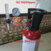 Khí chuẩn CO 100ppm, O2 10000ppm